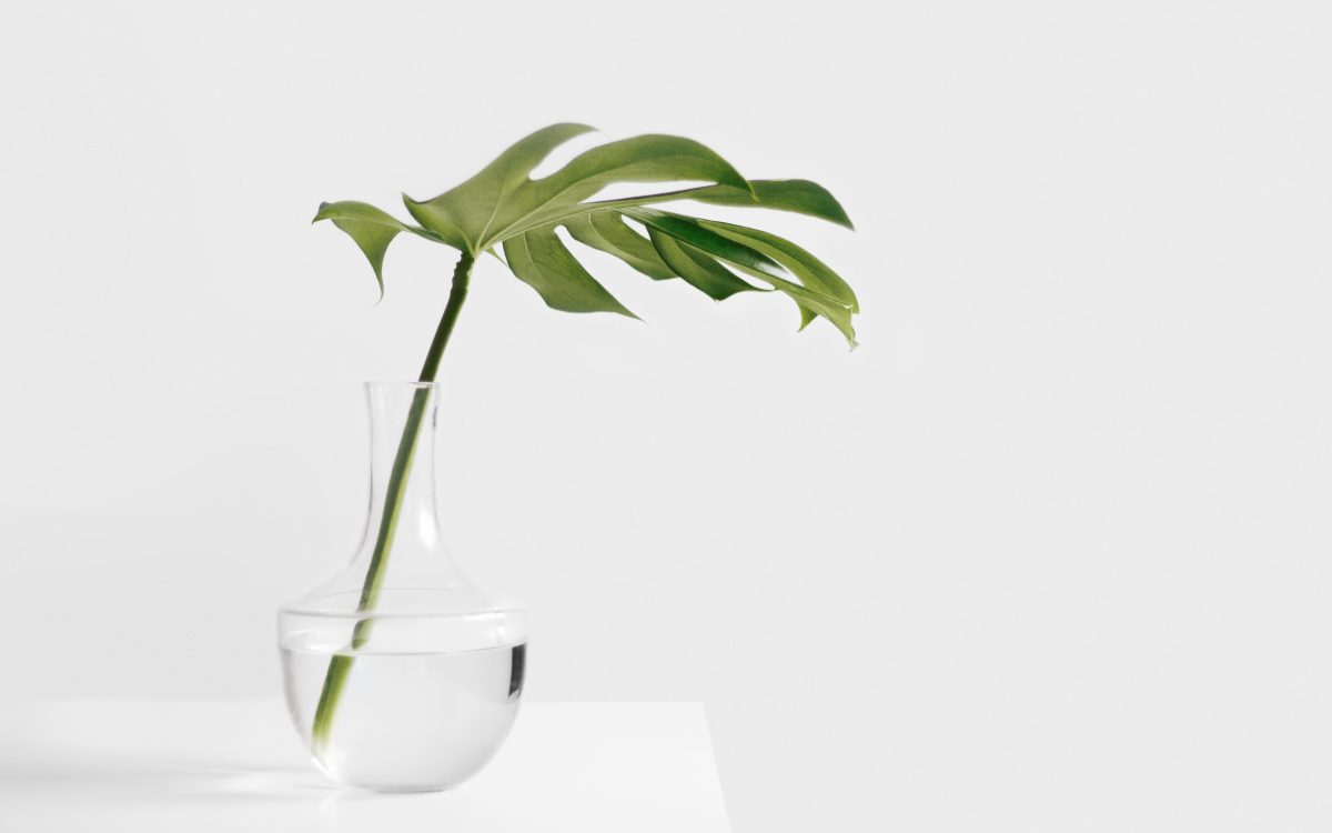 Kinfolk City Guide